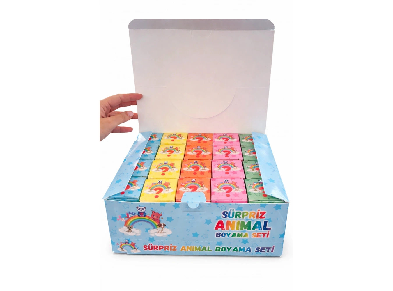 20li Karışık Figürlü Sürpriz Boyama Seti