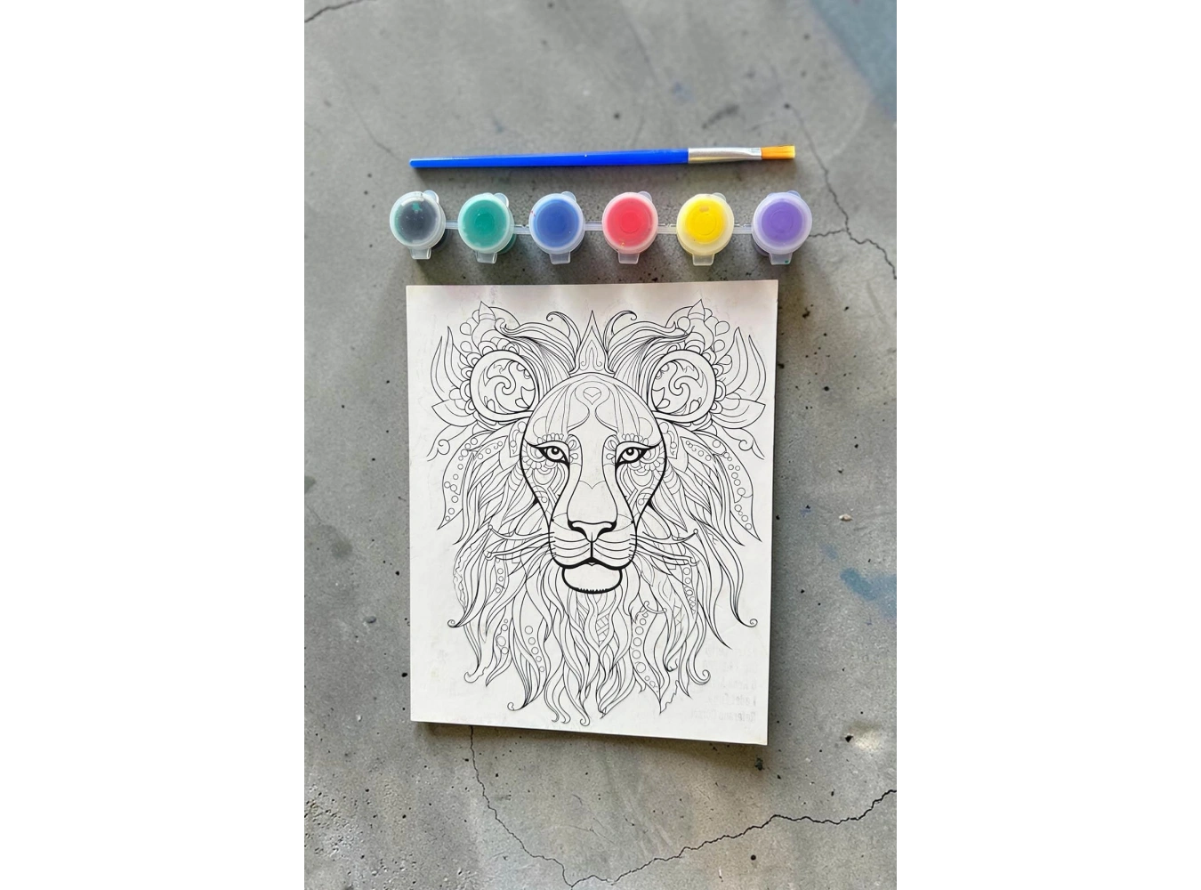 Aslan Desenli Boyama Seti