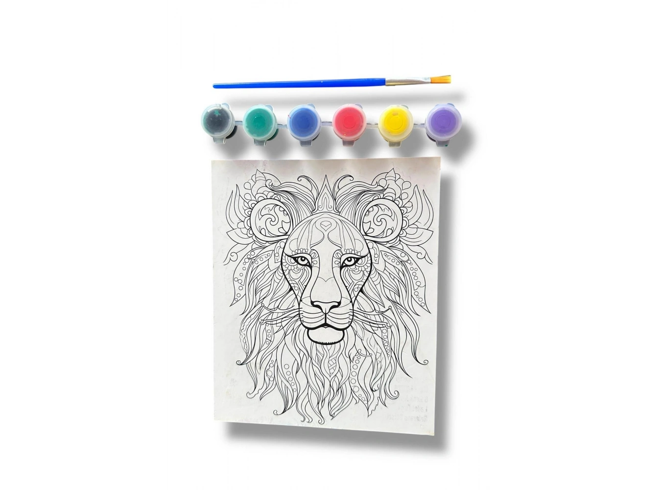 Aslan Desenli Boyama Seti