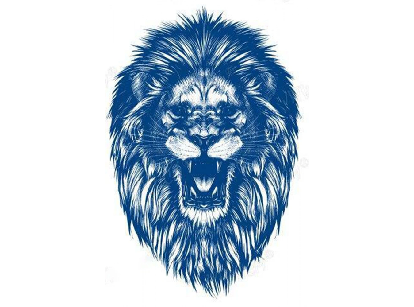Aslan Sonradan Kararan Yarı Kalıcı Geçici Dövme Tattoo