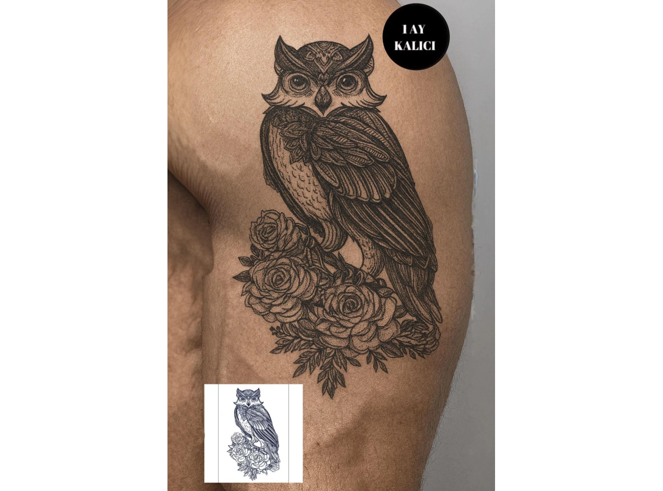 Baykuş Figürlü 12 Saat Sonra Kararan Geçici Mini Dövme Tattoo