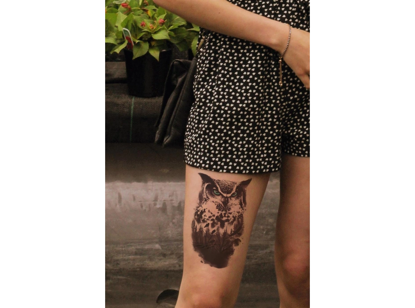 Baykuş Geçici Dövme Tattoo