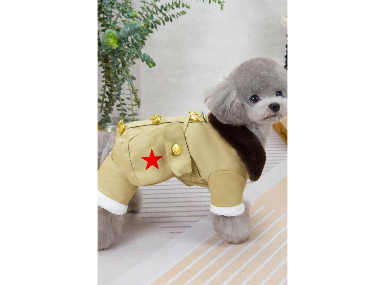 Bej Renk Çanta Detaylı Peluş Astarlı XL Köpek Tulum/Mont