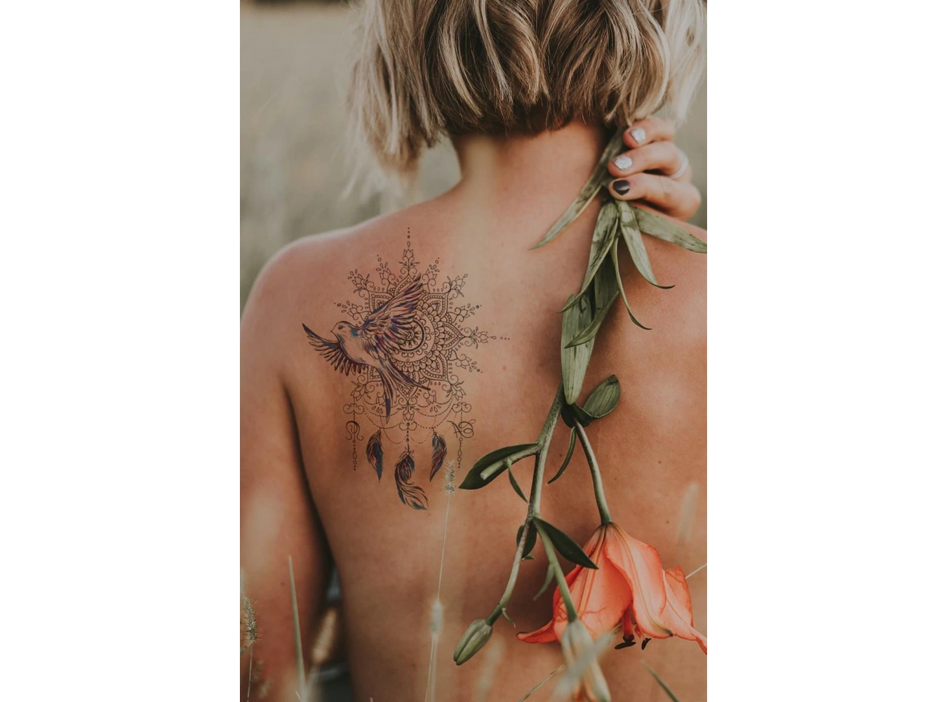 Düş Kapanı ve Kuş Geçici Dövme Tattoo