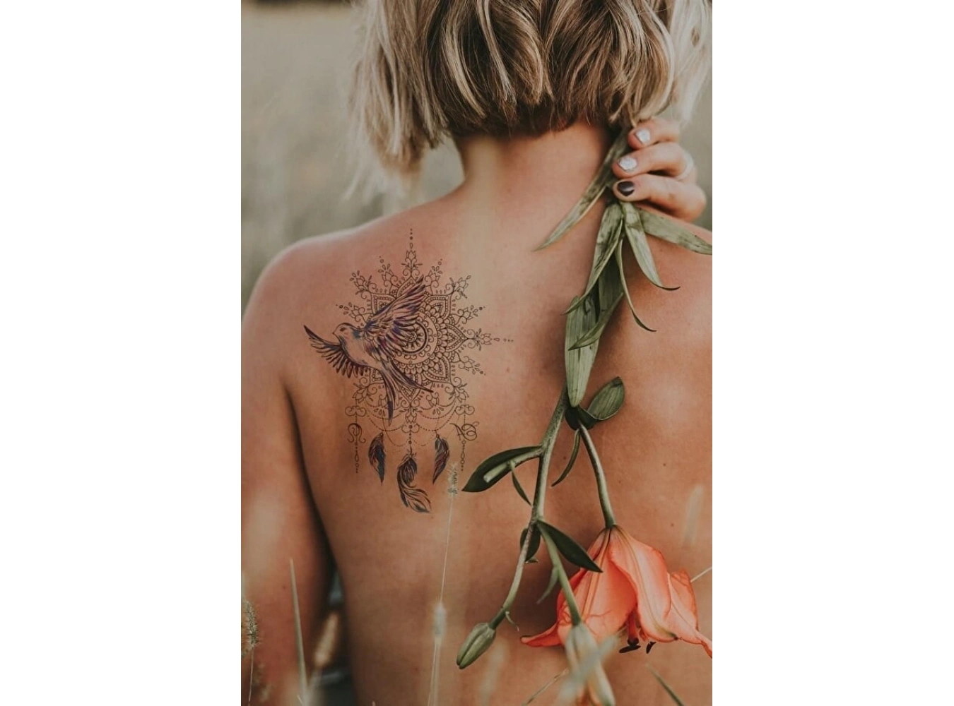 Düş Kapanı Ve Kuş Geçici Dövme Tattoo