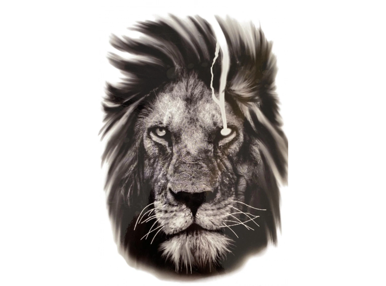 Geçici Aslan Figürlü Dövme Tattoo