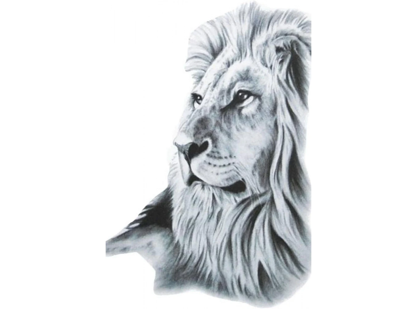 Geçici Aslan Figürlü Dövme Tattoo