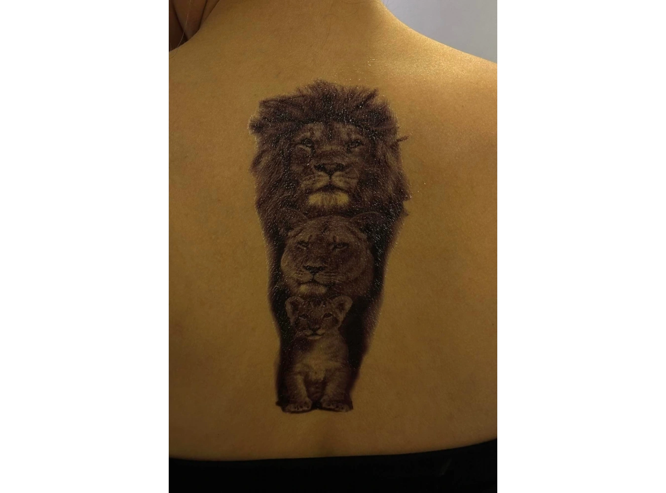 Geçici Aslan Figürlü Dövme Tattoo