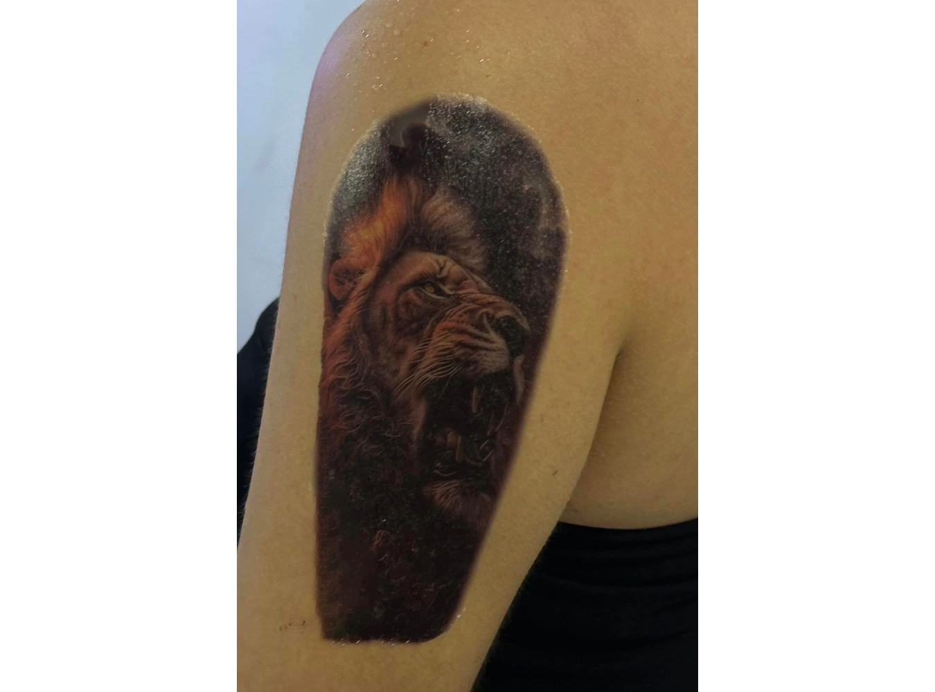 Geçici Aslan Figürlü Dövme Tattoo