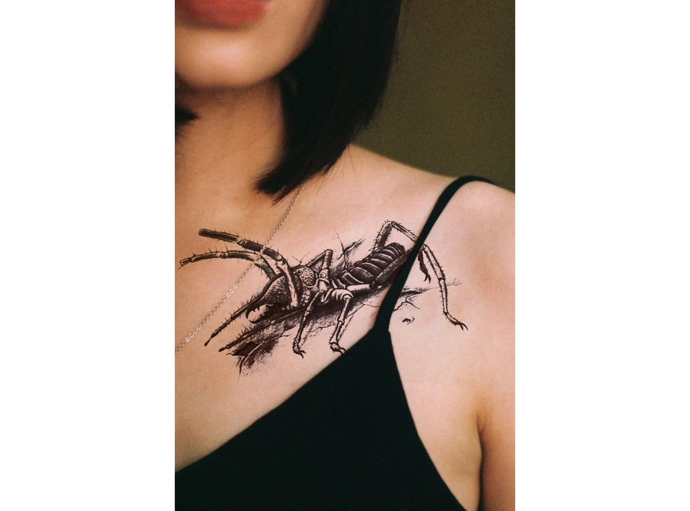 Geçici Çekirge Dövme Tattoo