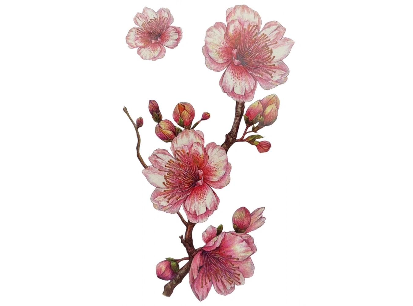 Geçici Çiçek Figürlü Dövme Tatto