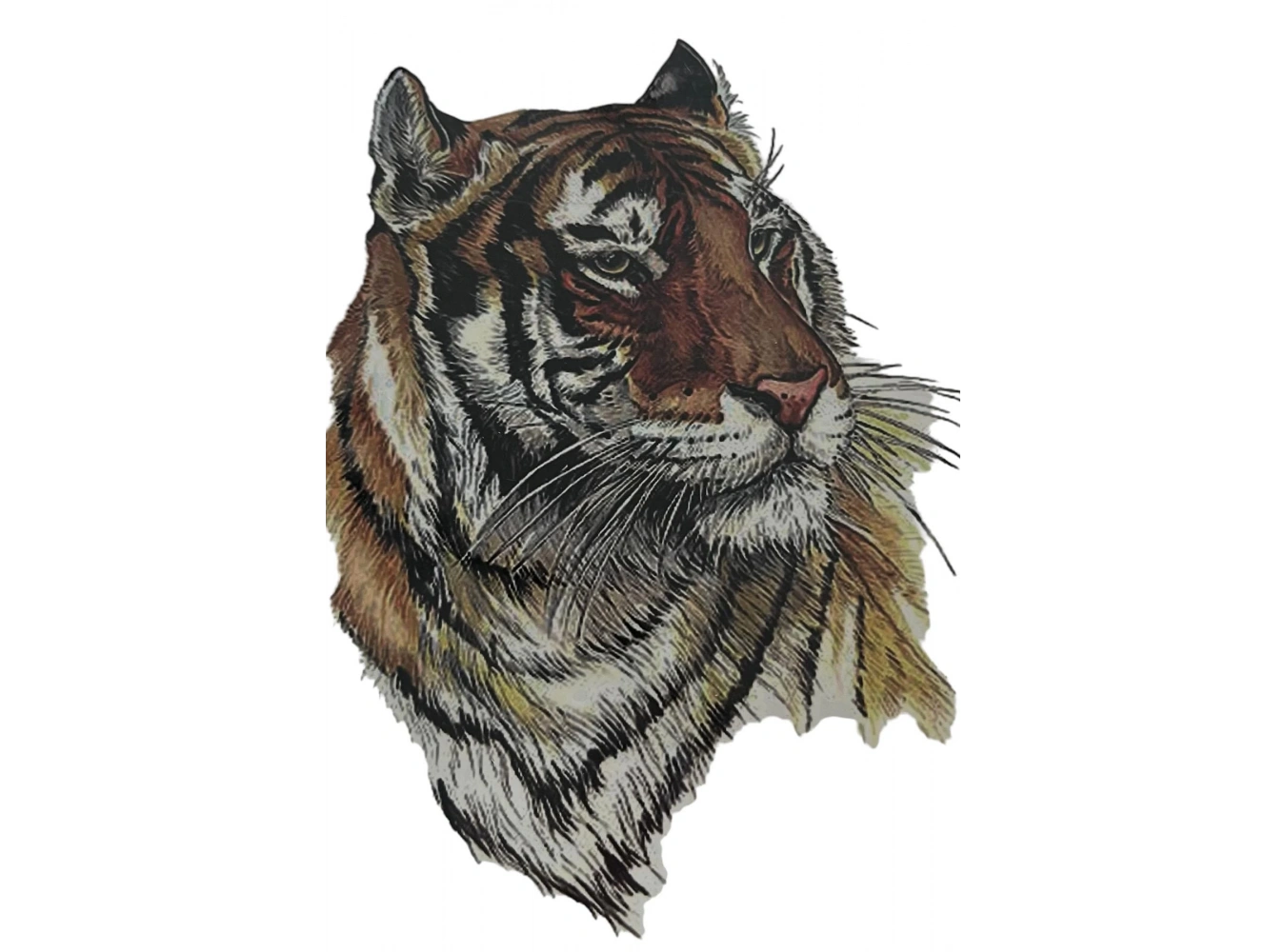 Geçici Kaplan Figürlü Dövme Tattoo