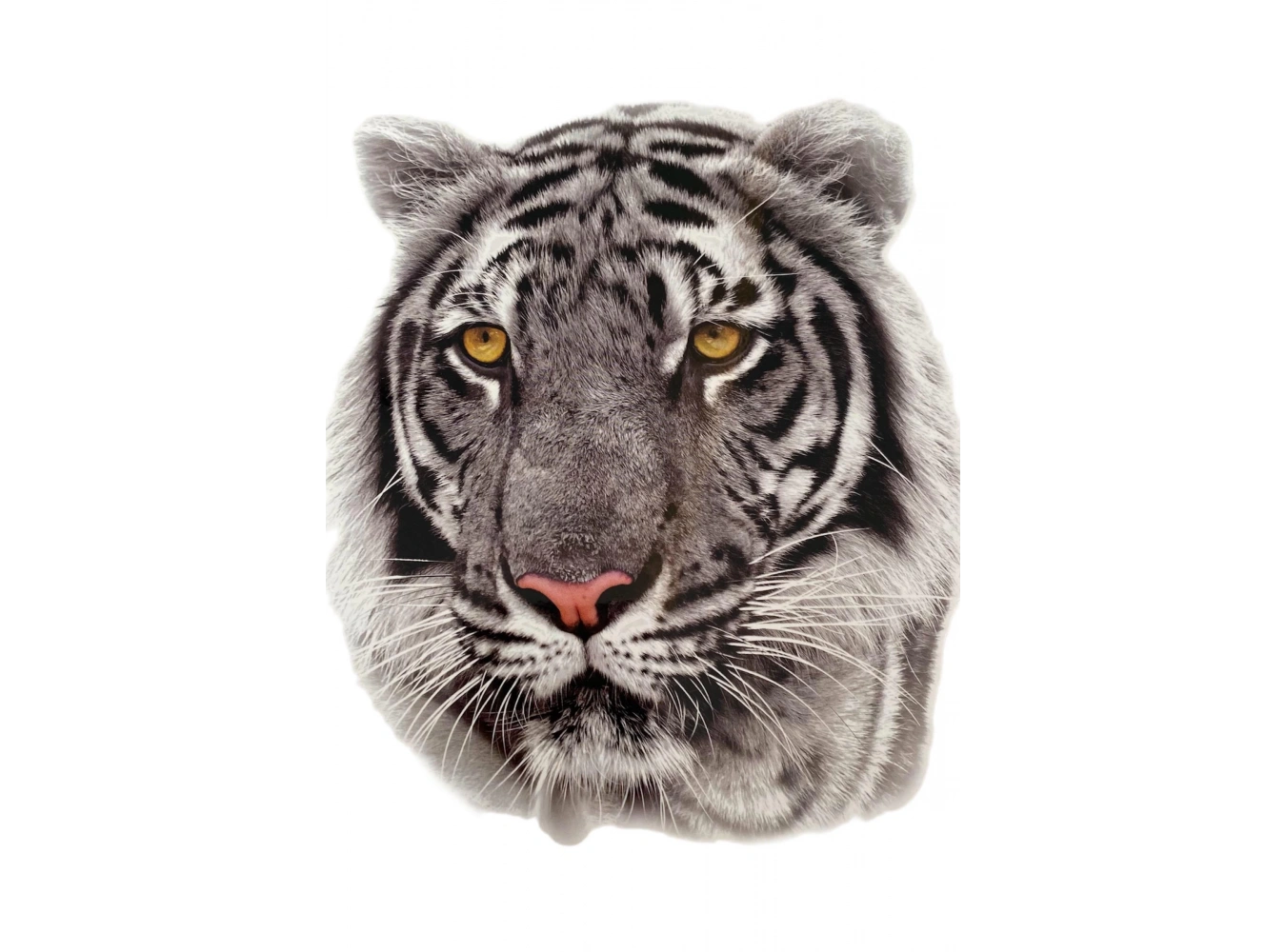 Geçici Kaplan Figürlü Dövme Tattoo