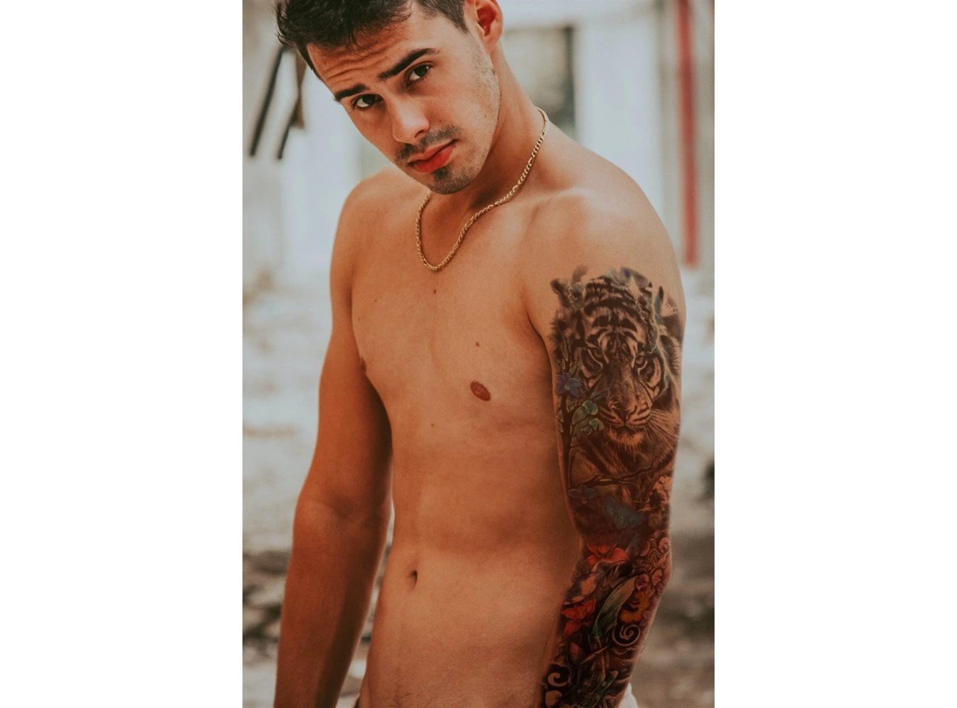 Geçici Kaplan Kol Dövme Tattoo