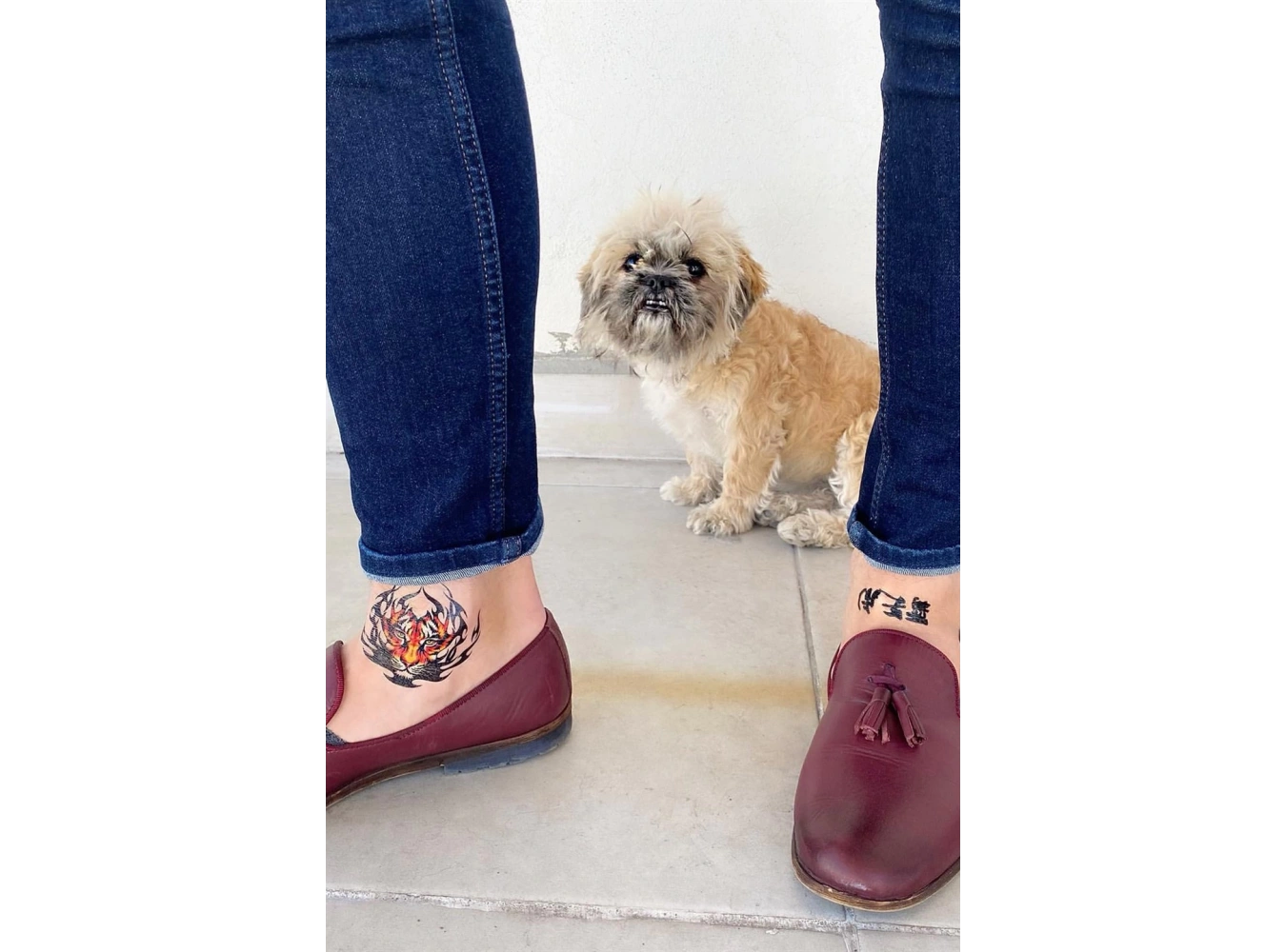 Geçici Kaplan ve Aslan Dövme Tattoo