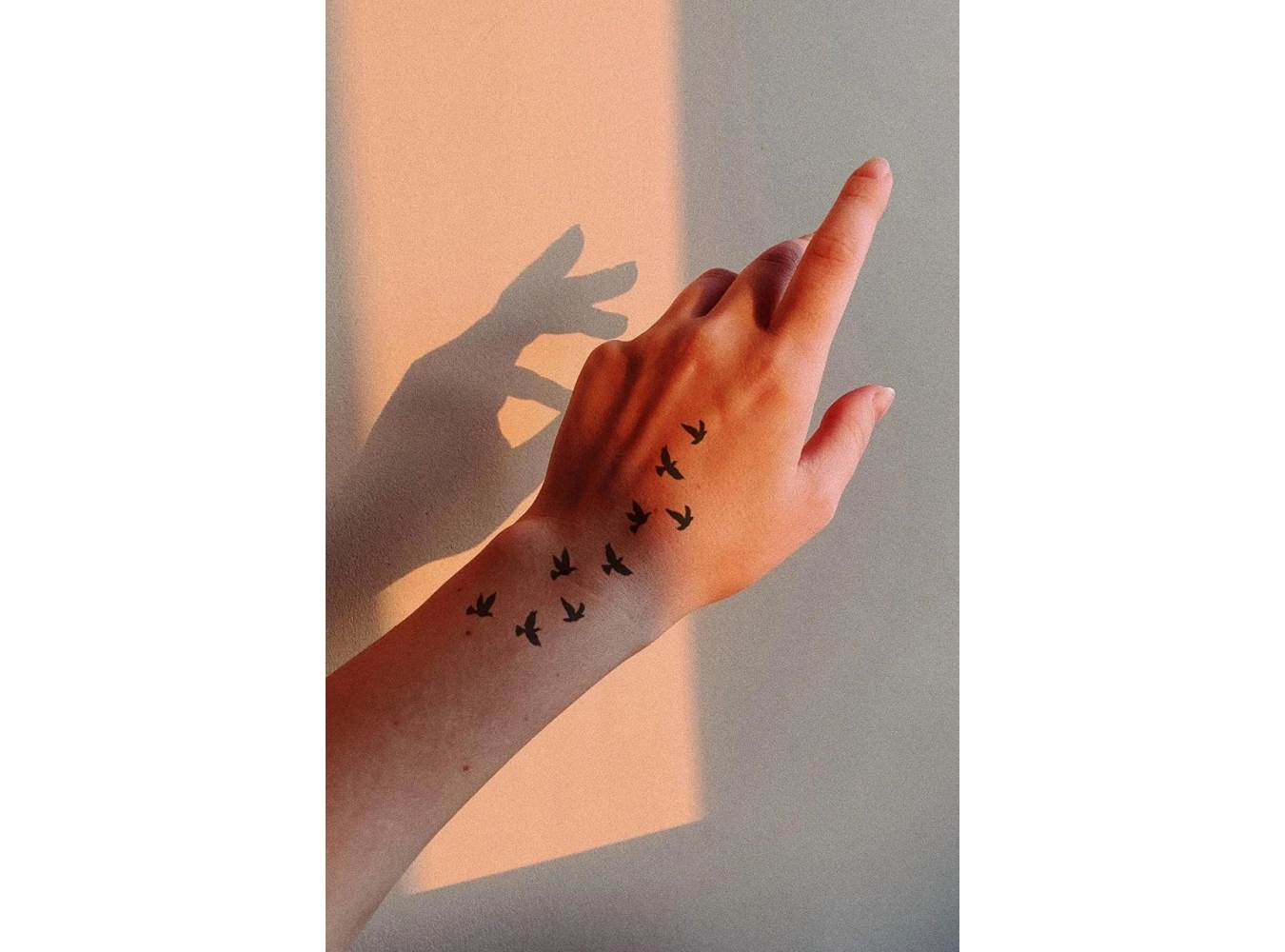 Geçici Karışık Kuş Mini Dövme Tattoo