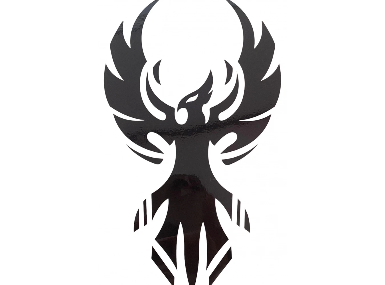 Geçici Kartal Figürlü Dövme Tattoo