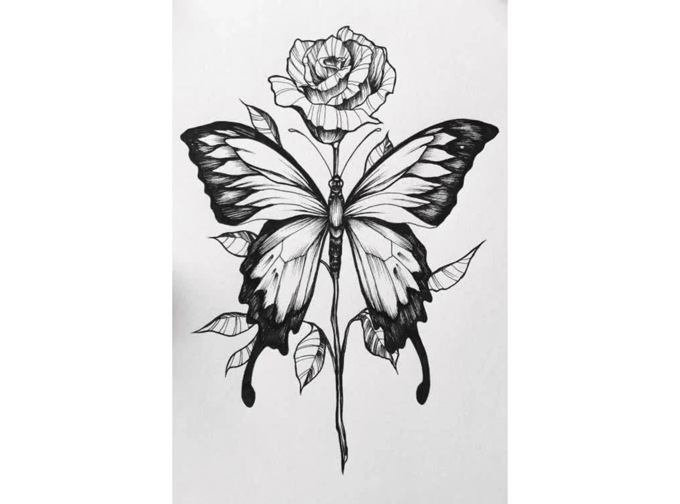 Geçici Kelebek Figürlü Dövme Tattoo