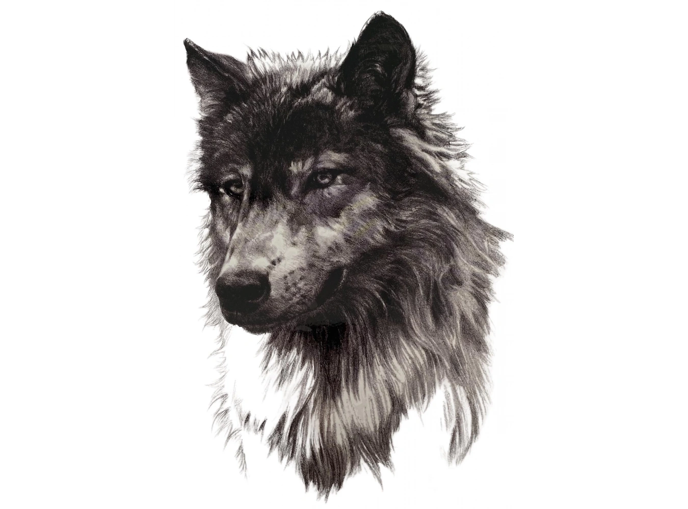 Geçici Kurt Figürlü Dövme Tattoo