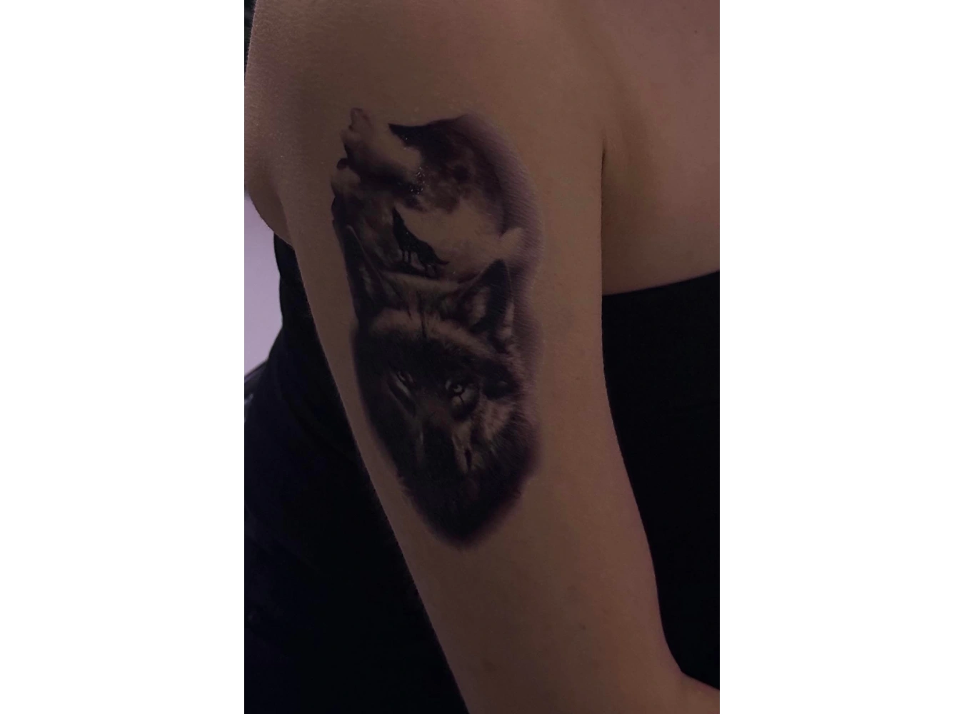 Geçici Kurt Figürlü Dövme Tattoo