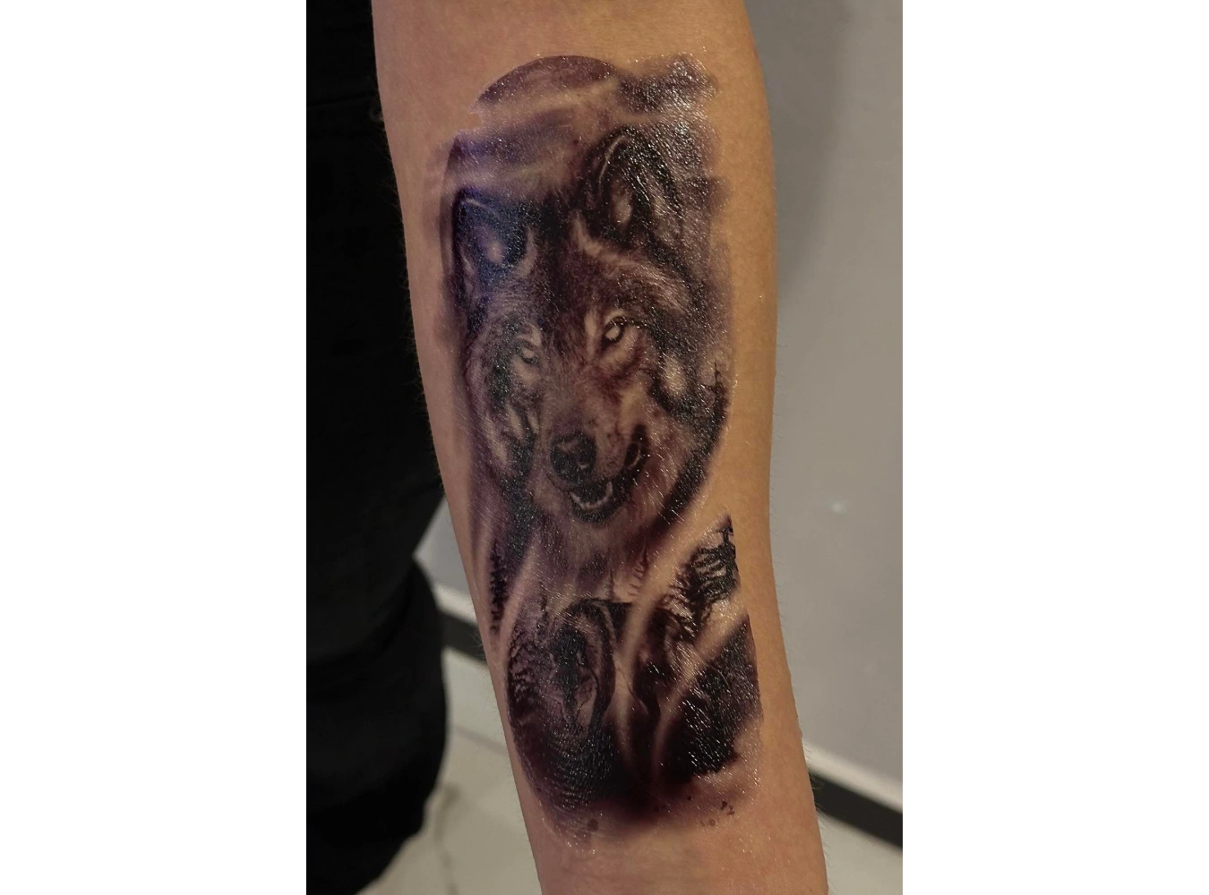 Geçici Kurt Figürlü Dövme Tattoo