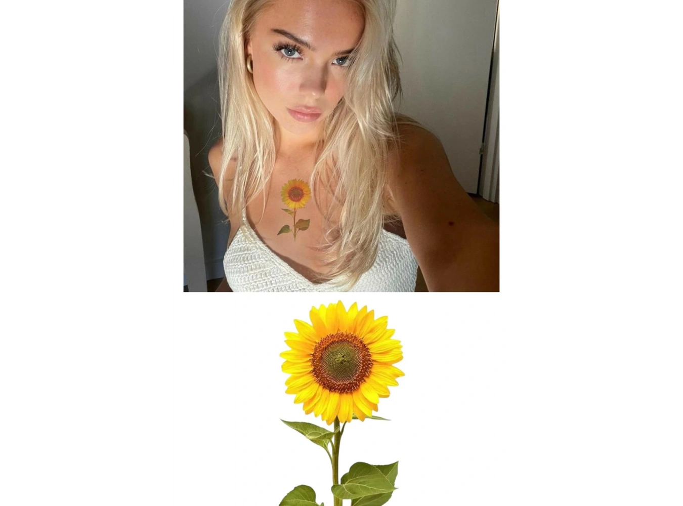 Geçici Papatya Figürlü Mini Dövme Tattoo