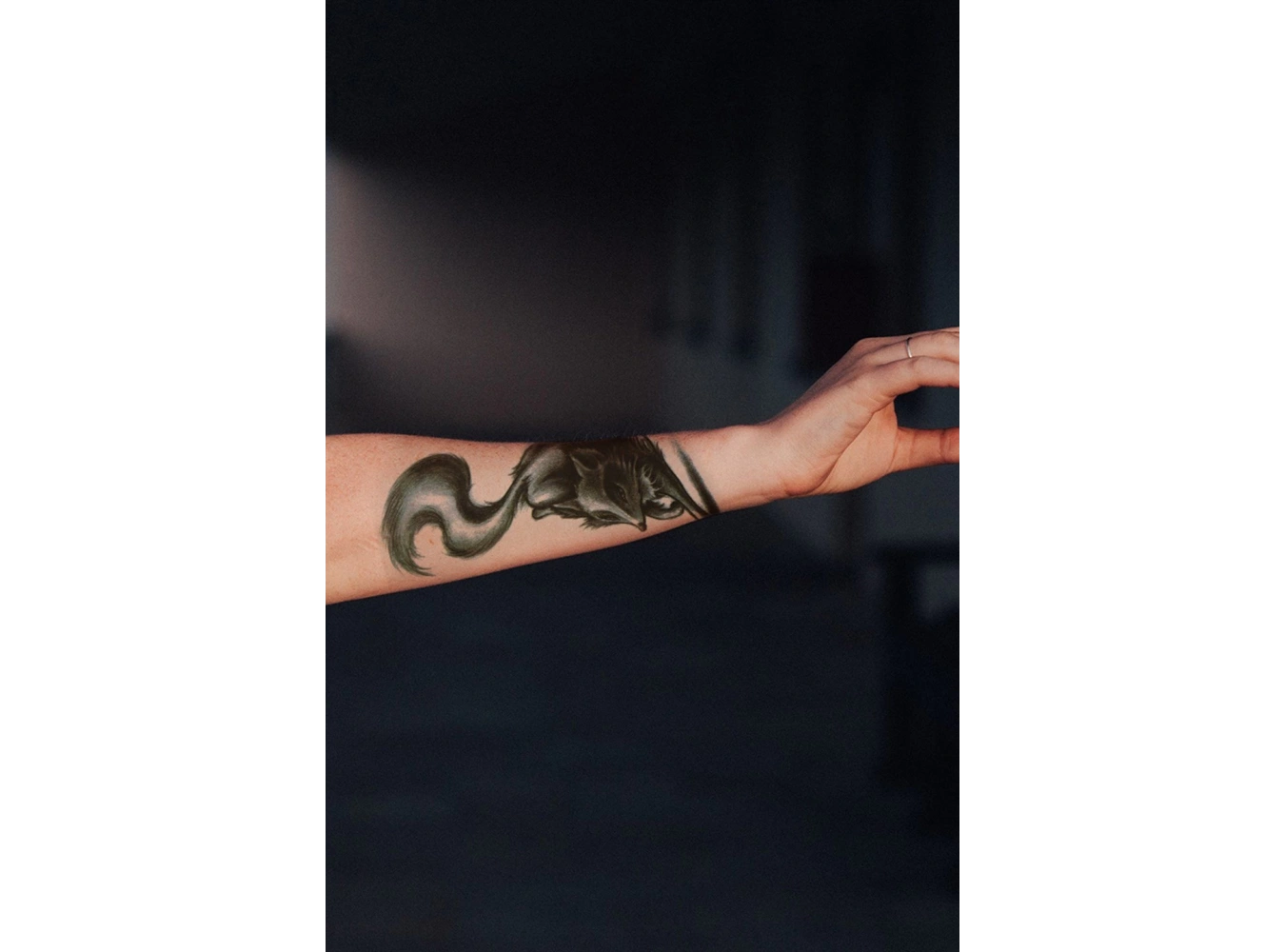 Geçici Tilki Dövme Tattoo