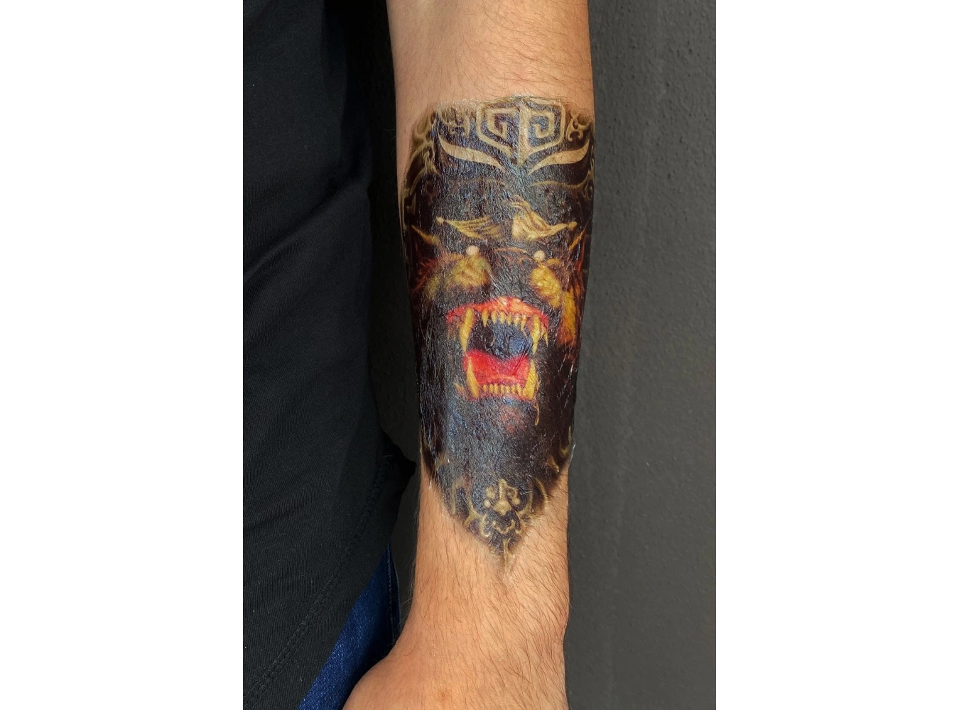 Geçici Vahşi Ayı Modelli Dövme Tattoo