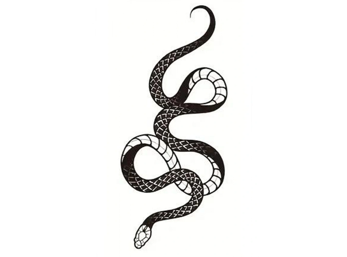 Geçici Yılan Figürlü Mini Dövme Tattoo