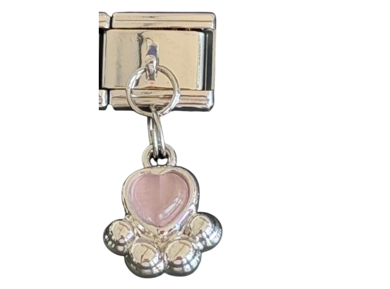 Gümüş Renk Pati Figürlü Çelik Nomination Charm (Tek)