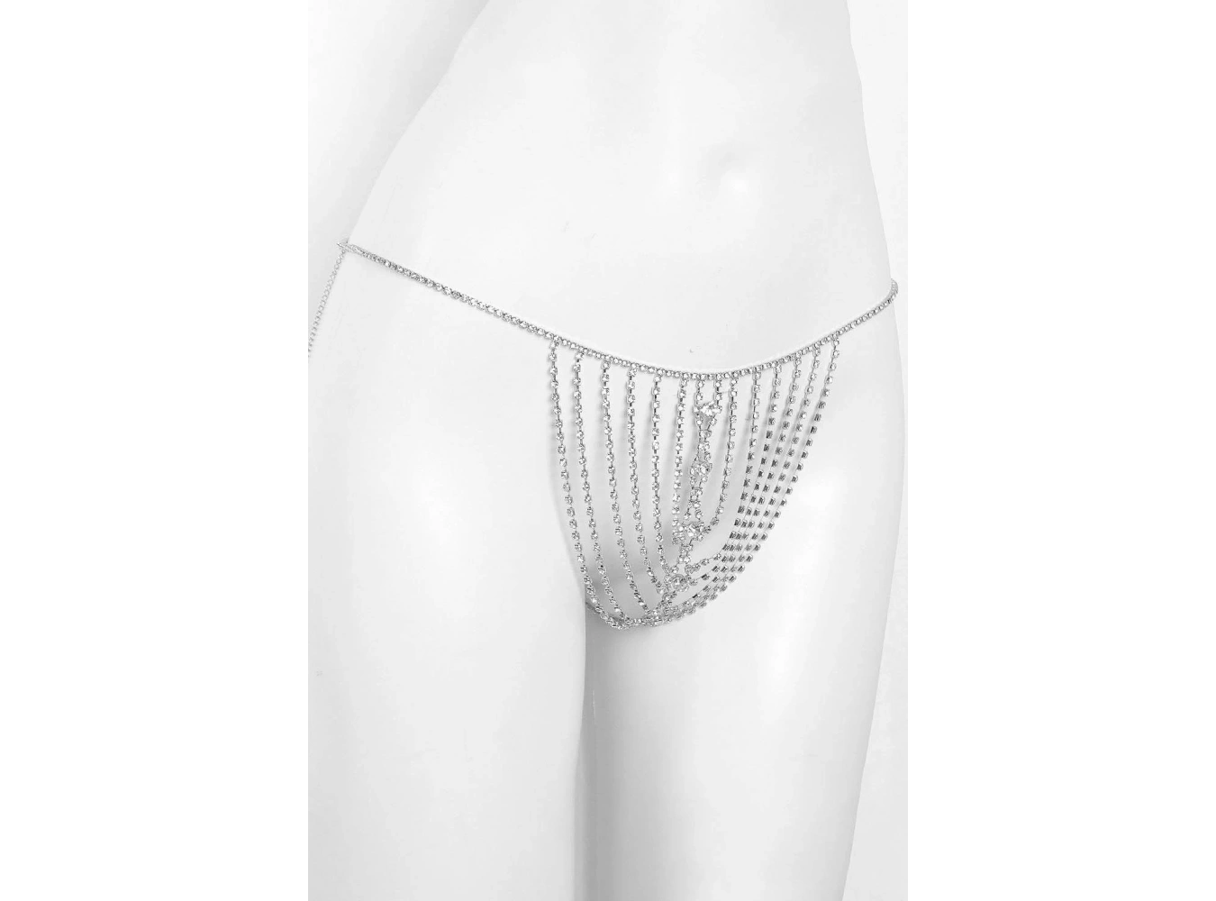 Gümüş Renk Taş Detaylı Tanga