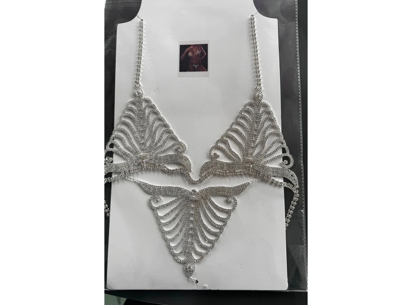 Gümüş Renk Taşlı Sütyen ve Tanga Takım Kostüm/ İç Giyim/ Vücut Aksesuarı Set