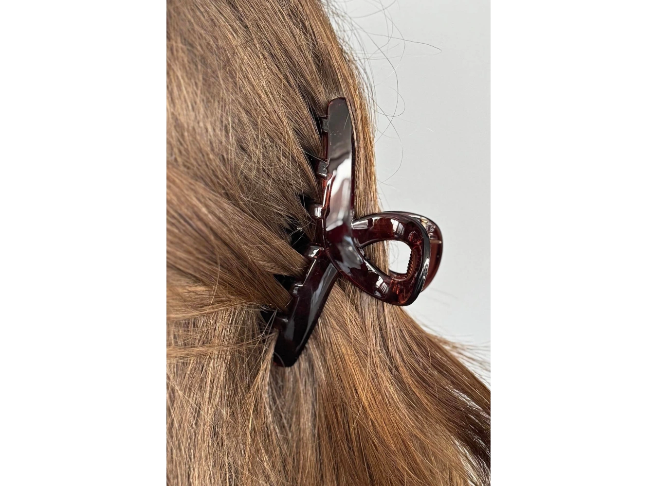 Kahverengi Mandal Toka