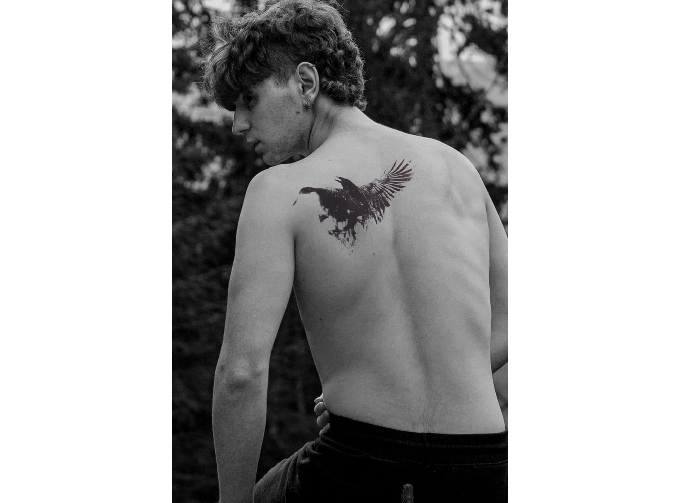 Karga Büyük Geçici Dövme Tattoo
