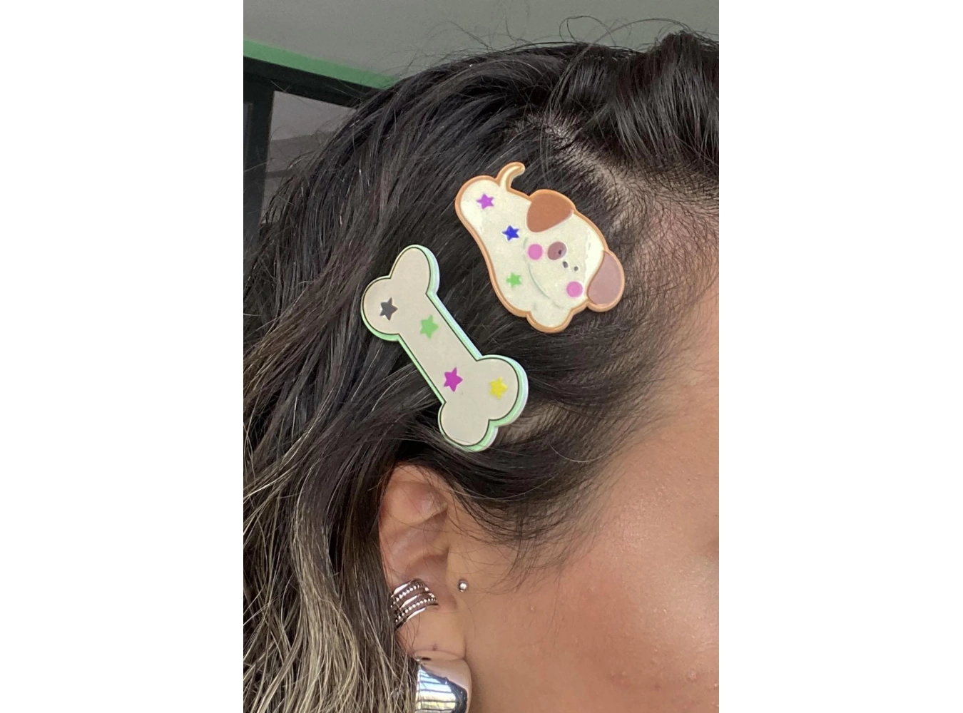 Karışık Renk Köpek Ve Kemik Figürlü Yan Toka Set