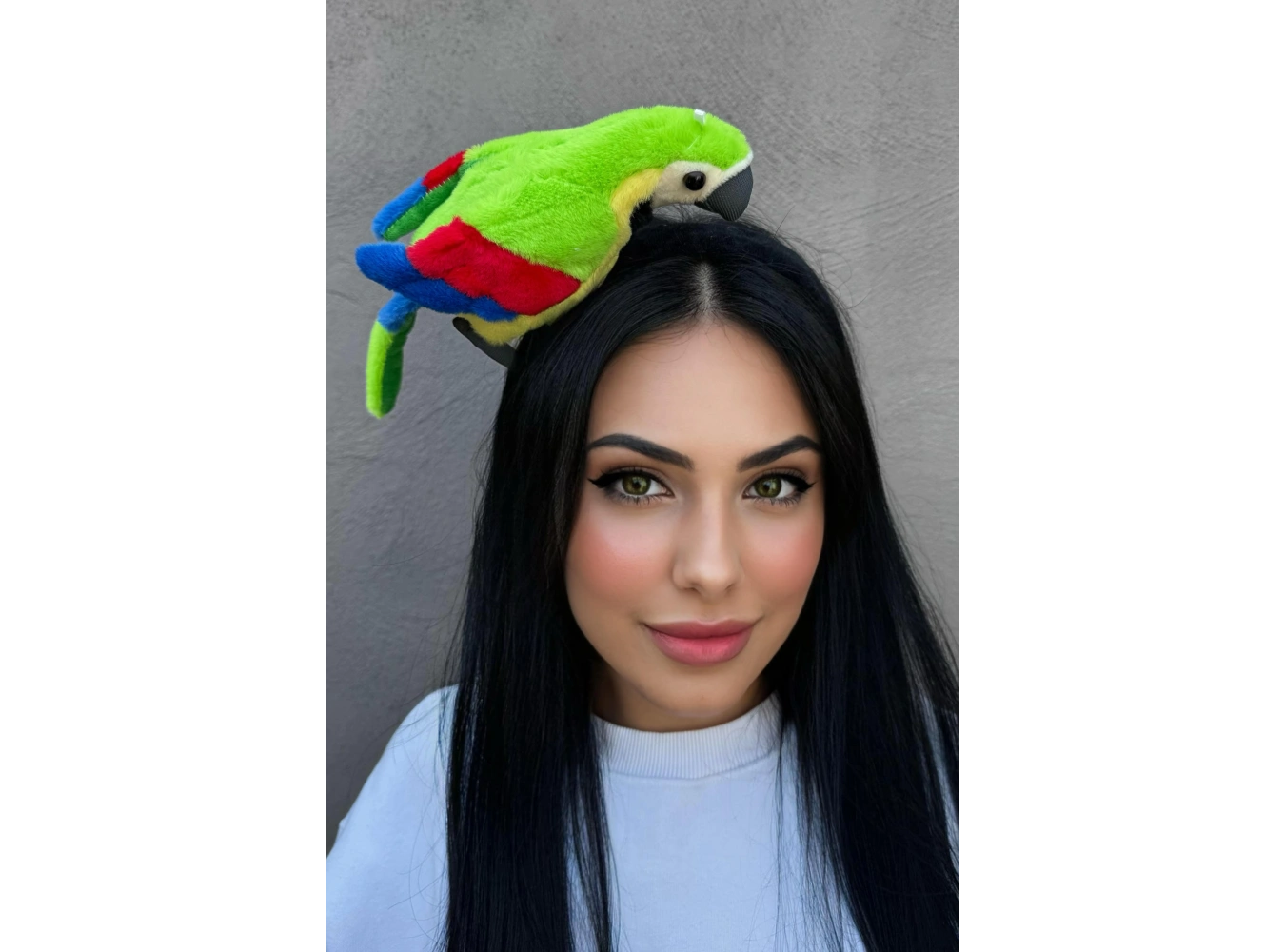 Karışık Renk Papağan Figürlü Taç