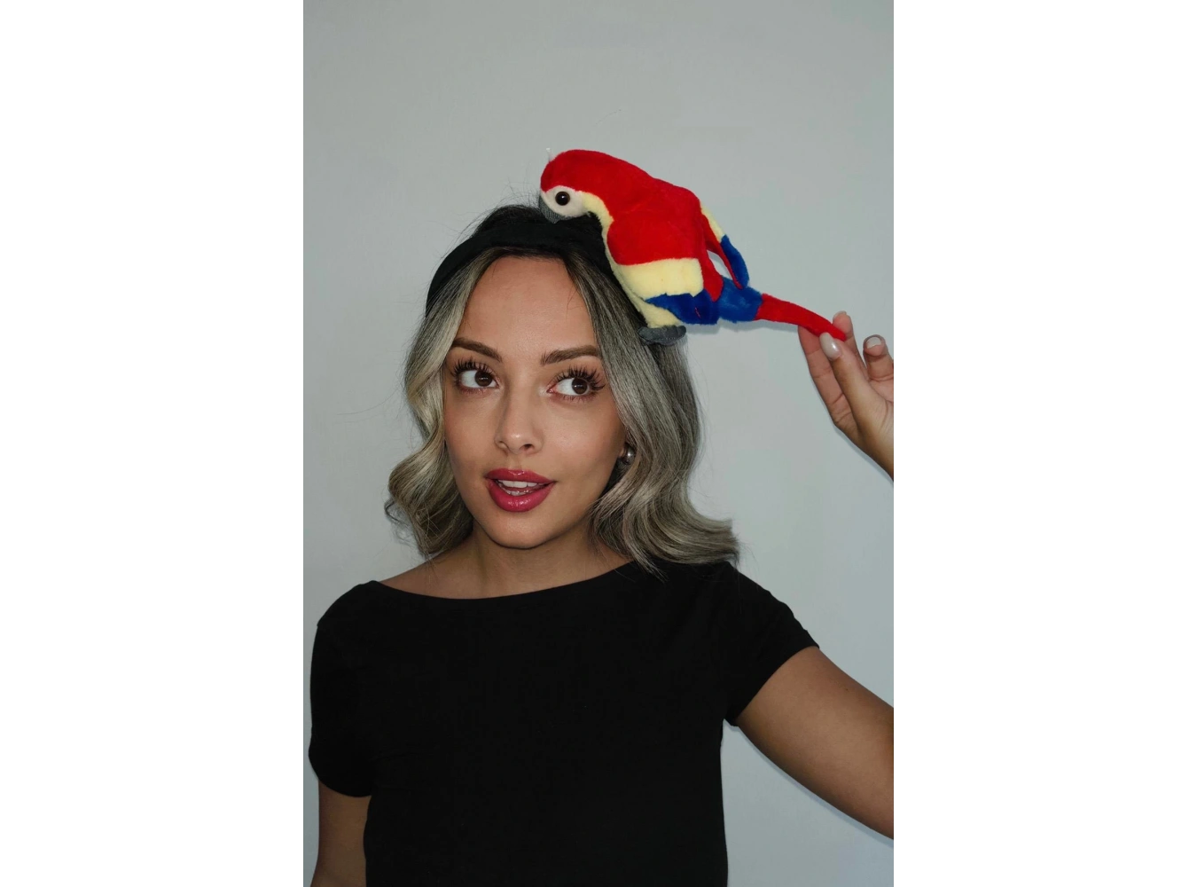 Karışık Renk Papağan Figürlü Taç