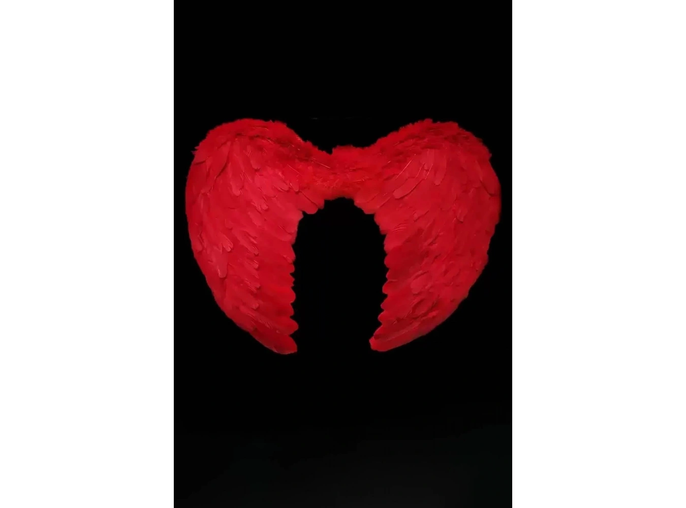 Kırmızı Renk Melek Kanadı