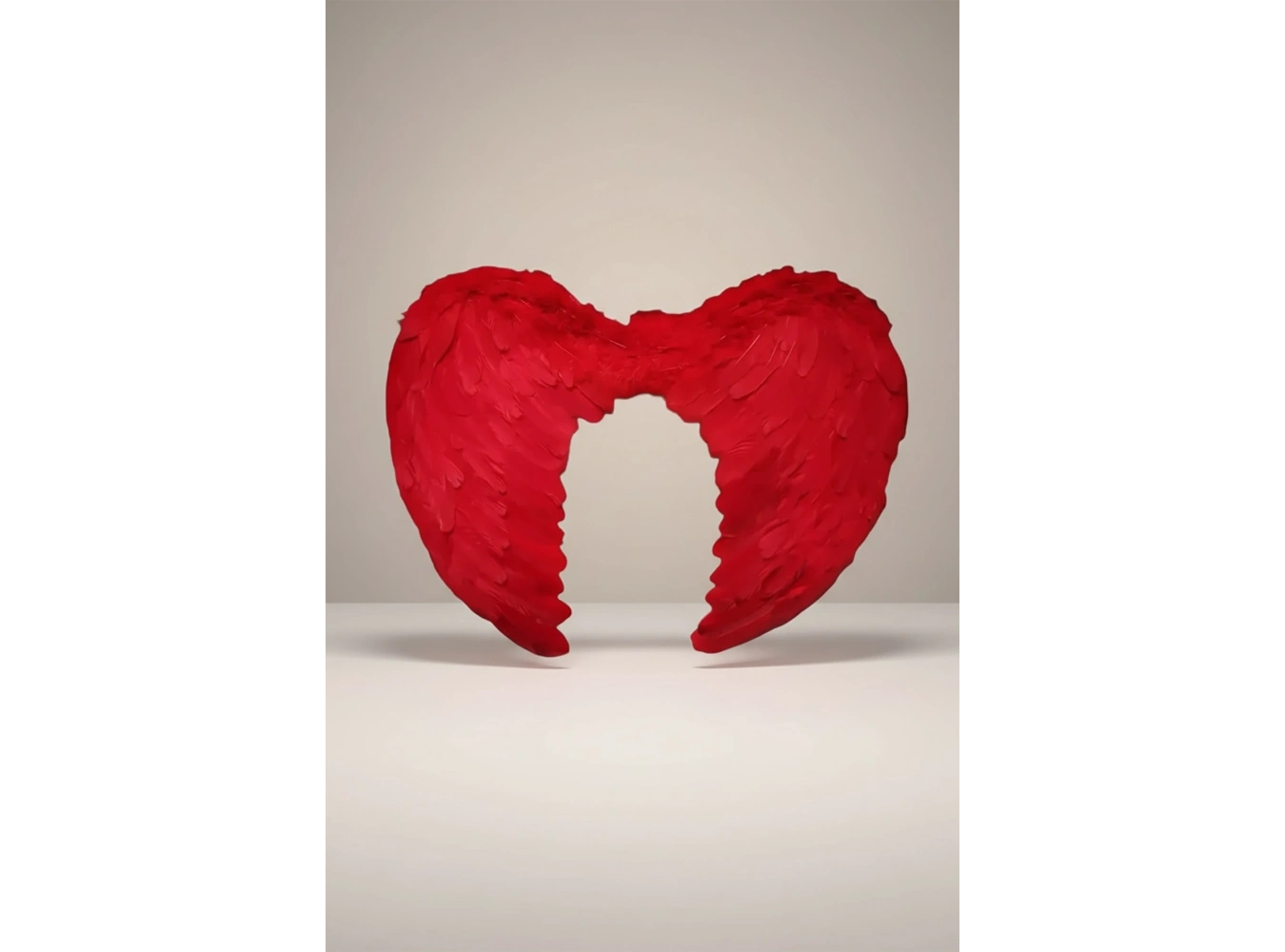 Kırmızı Renk Melek Kanadı