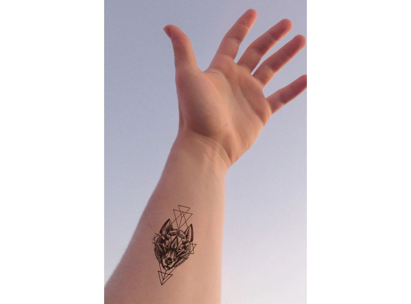 Kurt Mini Geçici Dövme Tattoo