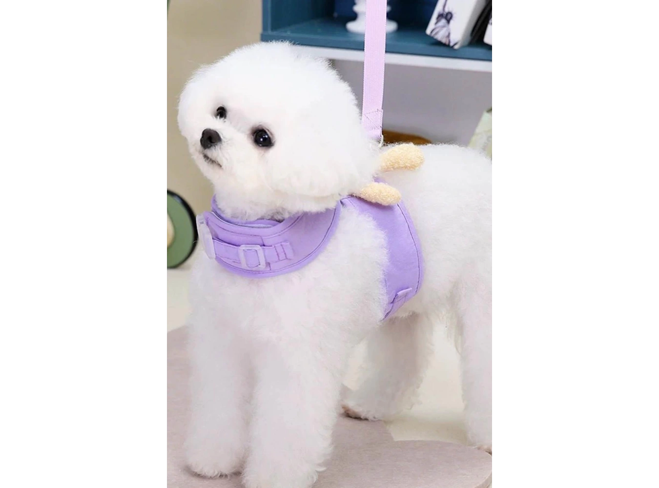 Lila Renk Ayıcık Figürlü L Beden Göğüs Kedi/Köpek Tasma