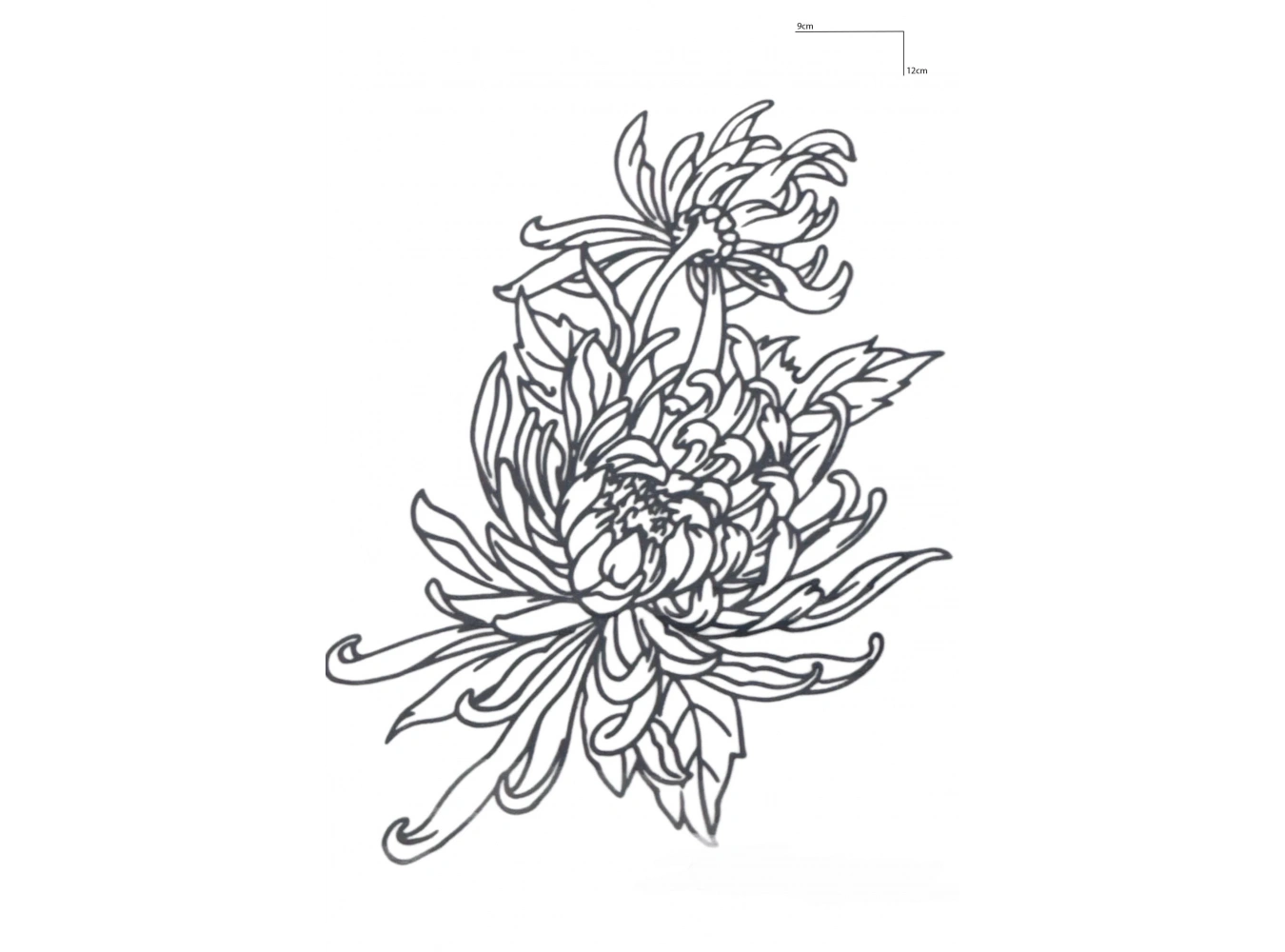 Lotus Çiçeği Figürlü 12 Saat Sonra Kararan Geçici Mini Dövme Tattoo