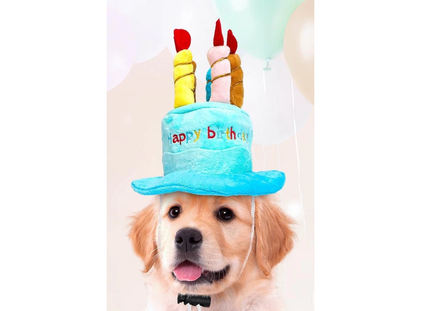 Mavi Renk Mum Figürlü Happy Birthday Yazılı Kedi Köpek Şapkası