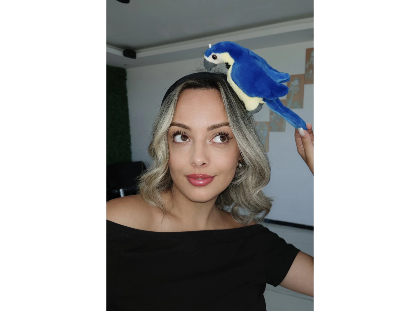 Mavi Ve Sarı Renk Papağan Figürlü Taç