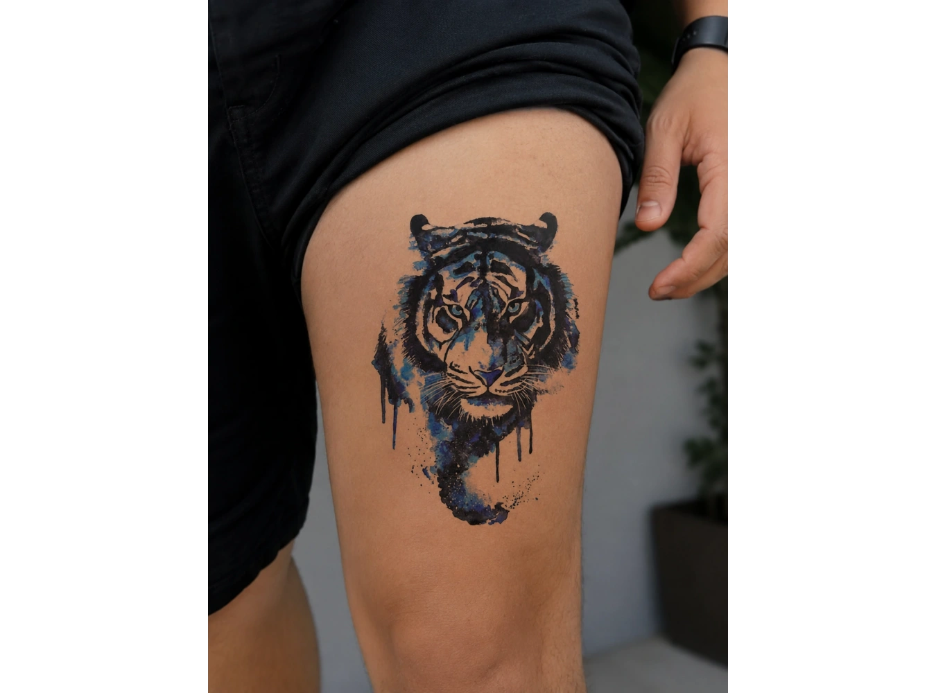 Mavili Kaplan Geçici Dövme Tattoo
