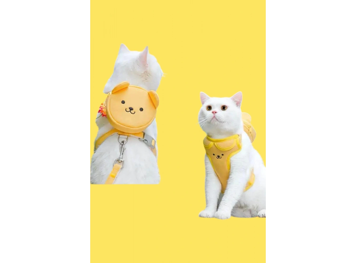 Sarı Renk Ayıcık Figürlü Çanta Detaylı Bel Göğüs Ayarlanabilir Kedi/Köpek Tasma