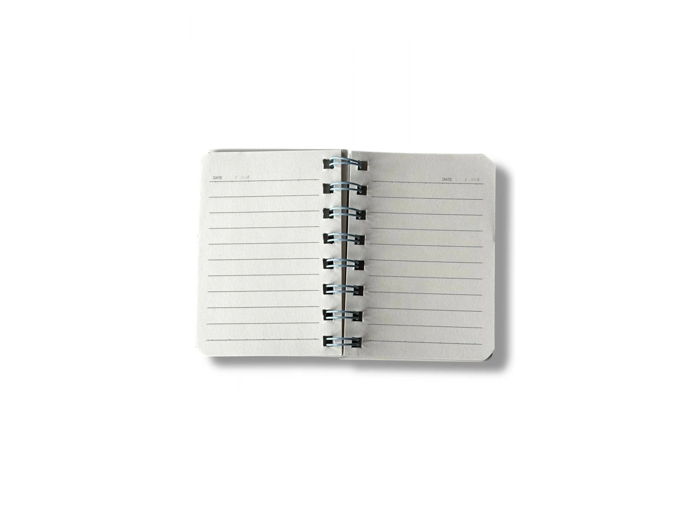 Turkuaz Renk Pati Figürlü Cat Day Yazılı Defter