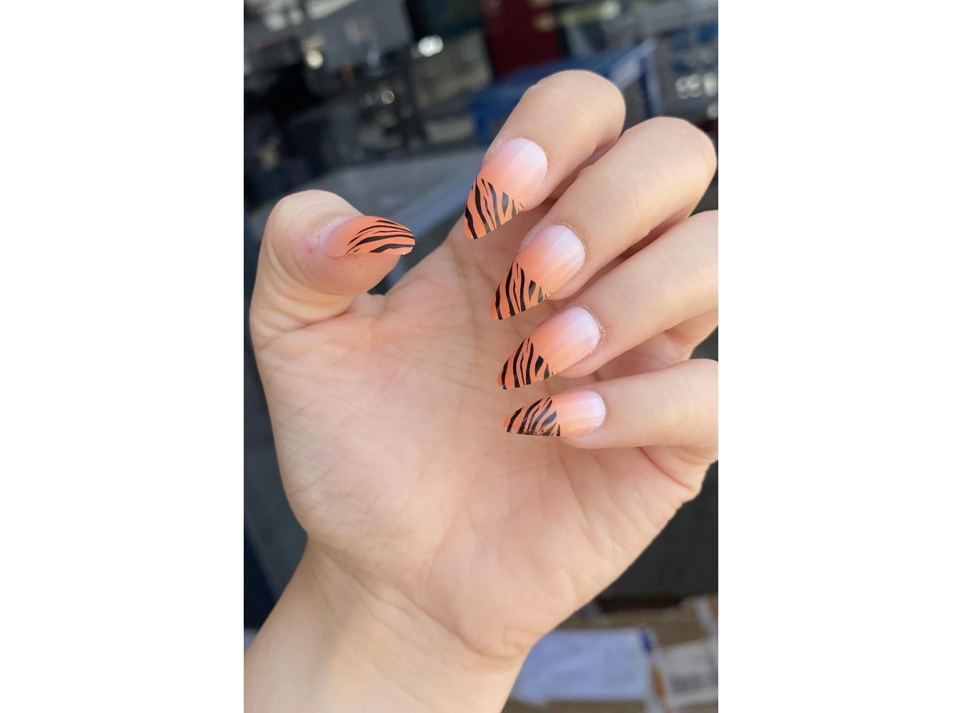 Turuncu Renk 12li Takma Tırnak (Yapıştırıcılı)