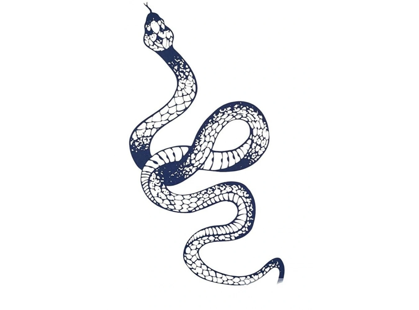 Yılan Sonradan Kararan Yarı Kalıcı Geçici Dövme Tattoo