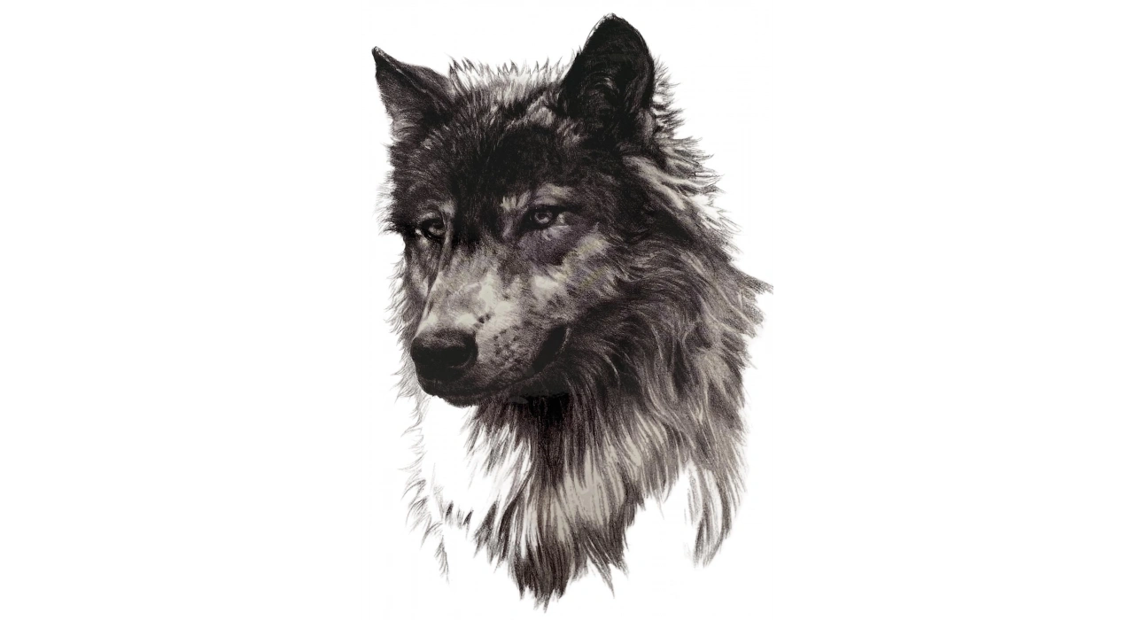 Geçici Kurt Figürlü Dövme Tattoo